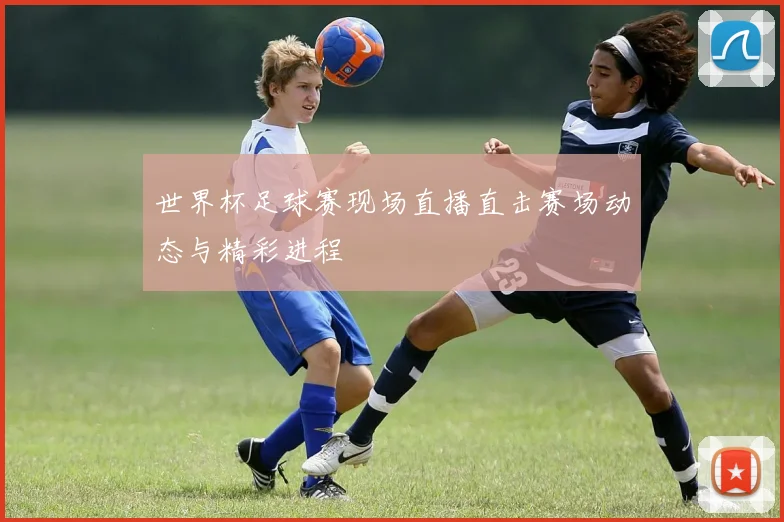 世界杯足球赛现场直播直击赛场动态与精彩进程