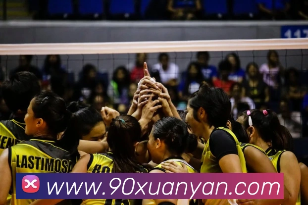 世界杯官方网络平台平台生态图